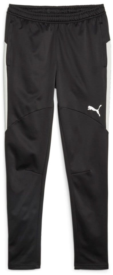 Pantaloni Puma Individual Winterized Men's Football Pants